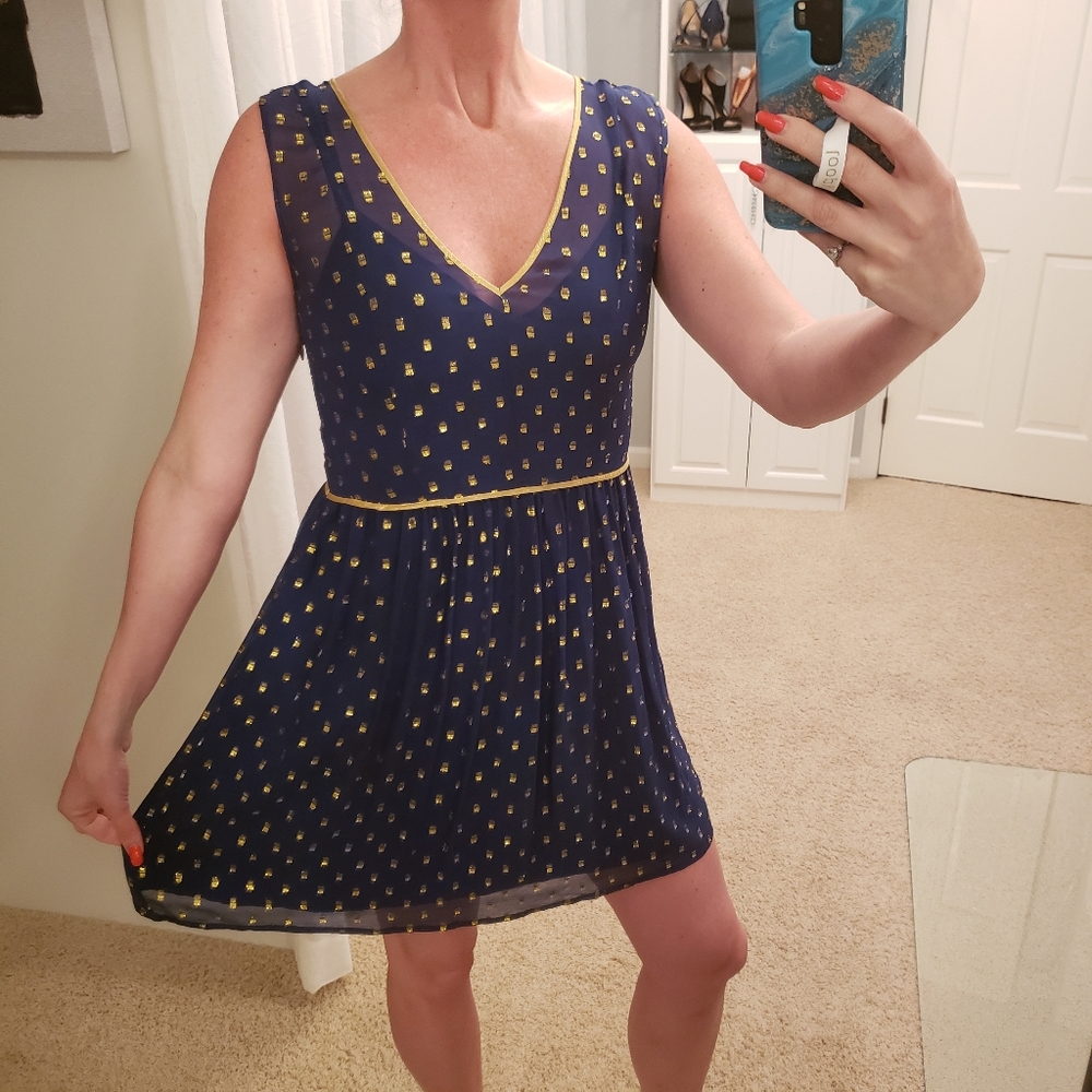 Anthropologie Silk Dress Navy & Gold Sleeveless